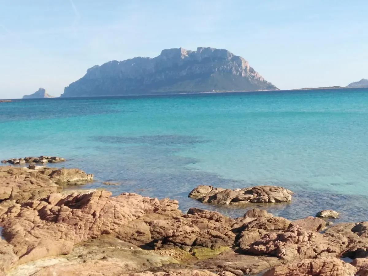 Apartman Aria Di Vacanza - Zenzero Murta Maria