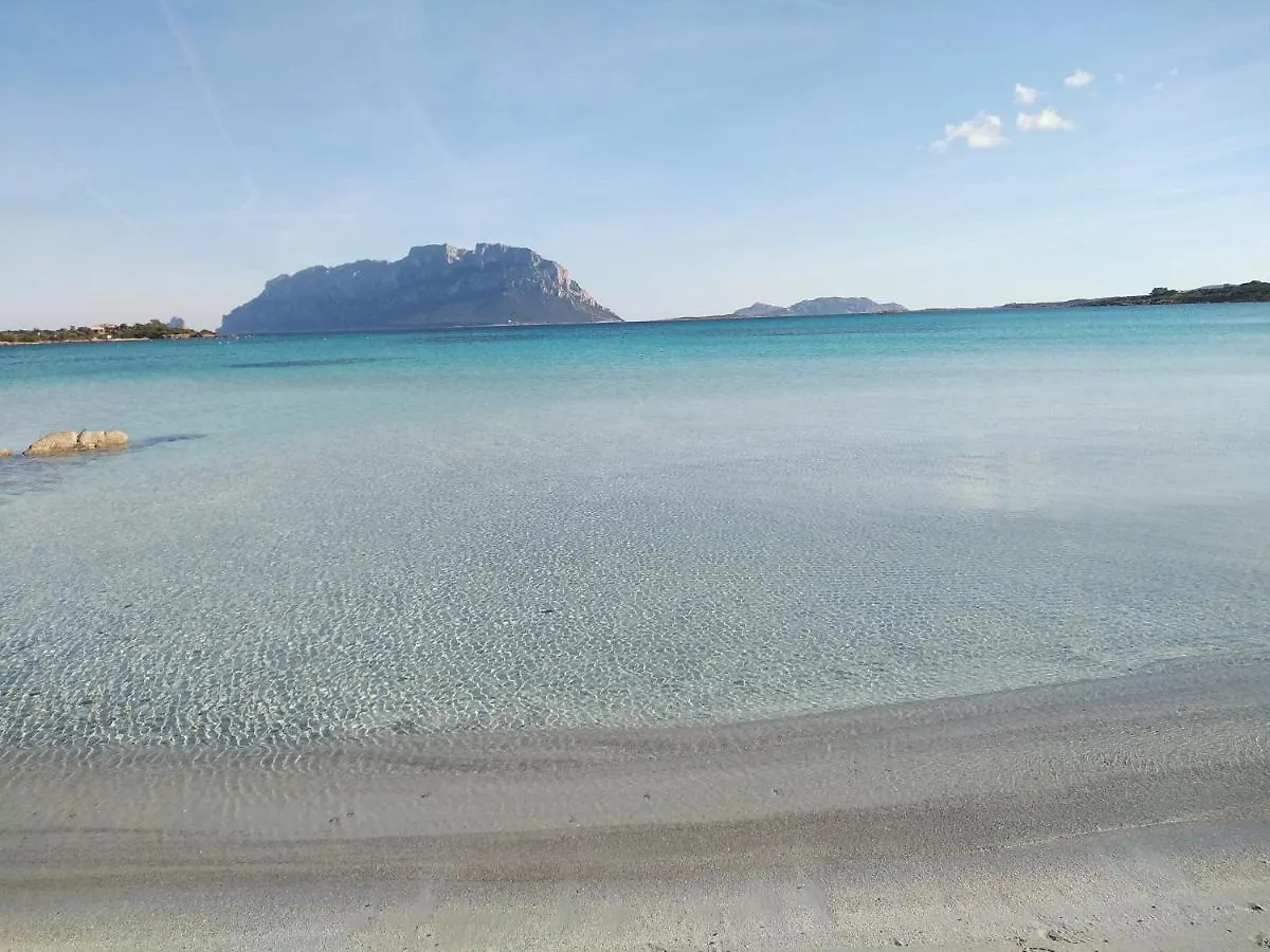 Aria Di Vacanza - Zenzero Murta Maria Olaszország